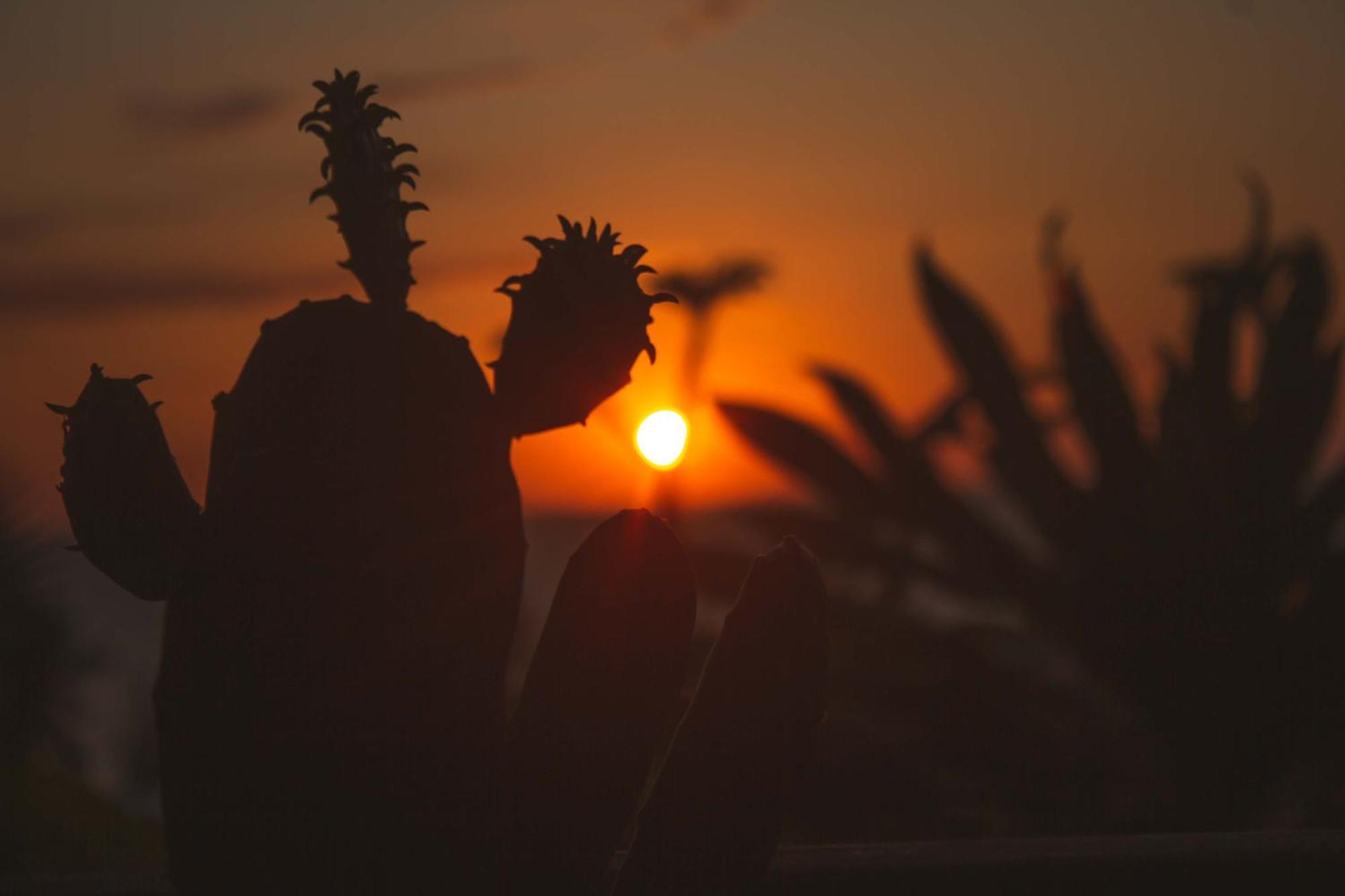 Coucher De Soleil Ambatoloaka  Bagian luar foto